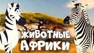 ЖИВОТНЫЕ АФРИКИ! Развивающие мультики для детей + видео про животных