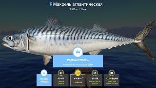 НОРВЕЖСКОЕ МОРЕ.САМОЕ УДИВИТЕЛЬНОЕ ТРОФЕЙНОЕ МОРЕ))) РОЗЫГРЫШИ РУЛЕТОК