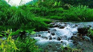 Peaceful Nature - Beautiful Waterfall, Gentle Water Sound, Melodious Birdsong, Gentle Nature