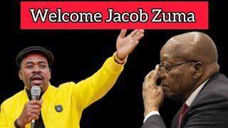 Nelson Chamisa copied by Jacob Zuma in Strategic Ambiguity