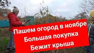 Вспахали огород/Большая, нужная покупка/Переезд на юг/Plowed a vegetable garden/