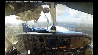 Impressive Bird Strike on a Piper Saratoga in Flight (windshield explosion!)