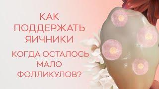 🩺​ Как поддержать яичники, когда осталось мало фолликулов?