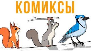 Комиксы. Белка-истеричка | Мемозг #376