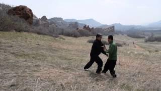 Training with Chen XiaoXing, stationary push hands drill