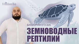 ЗЕМНОВОДНЫЕ и РЕПТИЛИИ для ЕГЭ ПО БИОЛОГИИ |Зоология| ЕГЭ БИОЛОГИЯ 2025|Freedom|