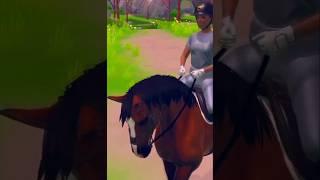 Practicing cancer transitions on bubbles #horse #equinegame #horseriding #equinewonders #horserides