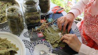 How To Preserve Grape Leaves In Two Ways & Tips By Aysenur Altan