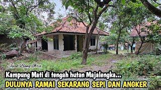 SEMUA PENDUDUKNYA TAKUT DAN PERGI, HANYA MEREKA YG MASIH BERTAHAN, KAMPUNG MATI DI TENGAH HUTAN...