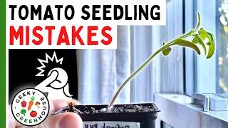 7 MISTAKES To Avoid With Tomato Seedlings 