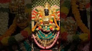 Special Darshan of Sri Rajalakshmi Padmavathi | Akshaya Tritiya 2024