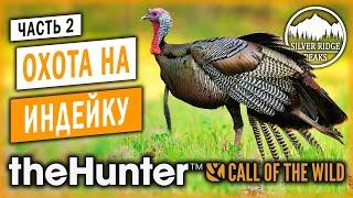 theHunter Call of the Wild #2  - Охота на Индейку - Заказник "Серебряные Вершины"