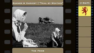 Summer & Harvest - The Fens (1947) ["Trial by Weather" 4/4]