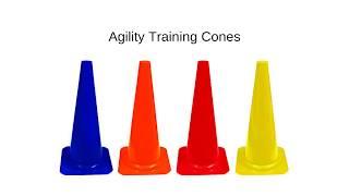 Agility Training Cones from Clean Run