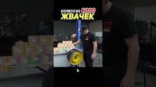 КОЛЕСО из 6000 ЖВАЧЕК