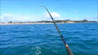 The Pete's Fishing NZ -  Kahawai 6 October 2022