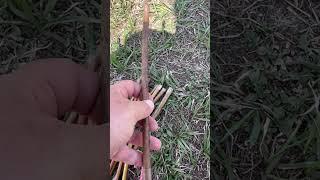 Planting #basket #willow sticks for production, 20” apart #homestead