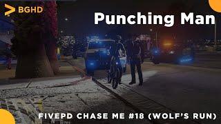 Punching Man in FivePD!