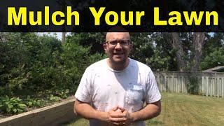 Here's Why You Should Mulch Your Lawn-The Key To Greener Grass