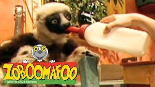  Zoboomafoo  122 | Pets - Full Episode | Kids TV Shows