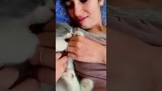 #cute #cat #love #status #trending#viralvedio#youtubeshorts
