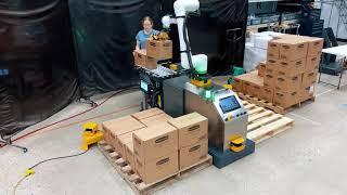 FANUC Collaborative Robot Palletizer | FANUC Cobot | PalletizCRX