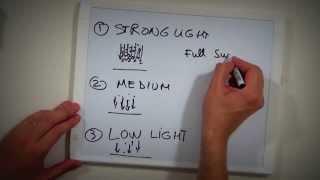 online photography tutorials lesson 1 - understanding light in photography