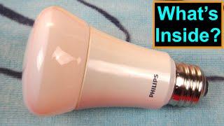Philips LED Light Bulb - The Blue LEDs Inside