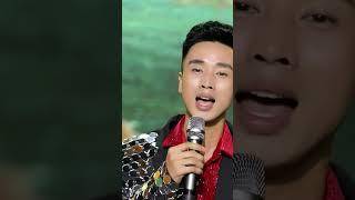 Chuyện tình lá diêu bông Trọng Thao #nhachaymoingay