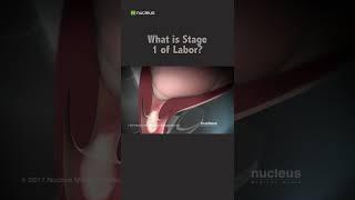 What is Stage 1 of Labor?  #shorts