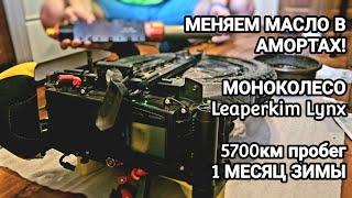 Leaperkim LYNX - МЕНЯЕМ МАСЛО. АМОРТЫ FASTACE. Месяц зимы, пробег 5700км.