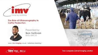 IMV imaging webinar: The Role of Ultrasonography in Cattle Production