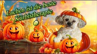 Lachen ist die beste Kürbistherapie   einen schönen Herbsttag und liebe Grüße 