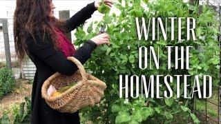 Backyard Homesteading / Seasons - Winter Life For An Australian Homesteader