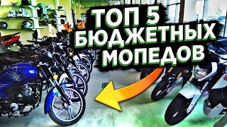  ТОП 5 БЮДЖЕТНЫХ МОПЕДОВ! ТОП 5 МОПЕДОВ ДЛЯ НОВИЧКА! ЛУЧШИЙ МОПЕД ДЛЯ НОВИЧКА!