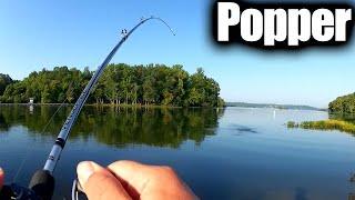 Hot Summer Topwater Fishing For Bass - Popper Fishing From the Bank