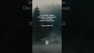 Псалом 36:35-40 в современном переводе #библия #biblevision
