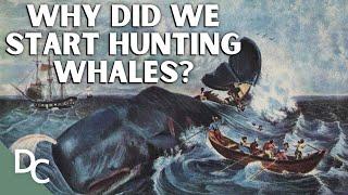 Unearthing Antarctica's Brutal Whaling Past | Whale Hunters: An Untold History | Part 1 | DC