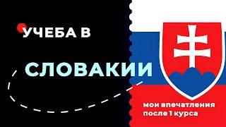 Учеба в Словакии: Впечатление после первого курса. Образование в Словакии