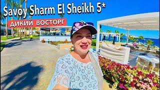 Египет 2025. ВСЁ по - ВЗРОСЛОМУ️ ПОГОДА МОРЕ ЕДА. Savoy Sharm El Sheikh 5*. Шарм Эль Шейх