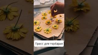 Как сохранить цветы  и листья для экопечати на ткани #экопринт #крашутканидома