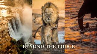 Beyond the Lodge | Episode 5: Golden Safari Triangle