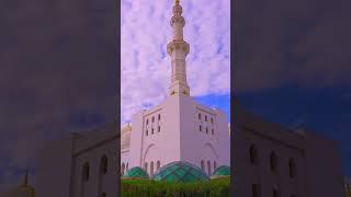 Floating Mosque? Sheikh Zayed Grand Mosque’s Magic!   | Travel Video 4K