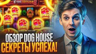 КАЗИНО ДРИП ОБЗОР – ПОКАЖЕМ КАК ИГРАТЬ В DRIP CASINO В СЛОТ THE DOG HOUSE | CASINO DRIP ОБЗОР