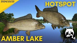 CRAZY Active Carp HOTSPOT Amber Lake Russian Fishing 4