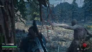 Days Gone - Жизнь после. Объект исследования Неро. Белнап. Северо запад. Между озер.