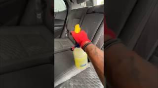 How to Build Your Detailing Business | Mobile Detailing #mobiledetailing #carcleaning #cardetailing