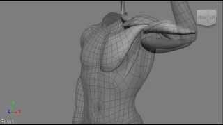 Syflex softimage muscles system