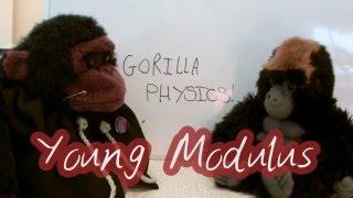 Young Modulus - A Level Physics Revision