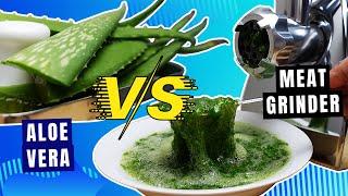 EXPERIMENT ALOE VERA VS MEAT GRINDER